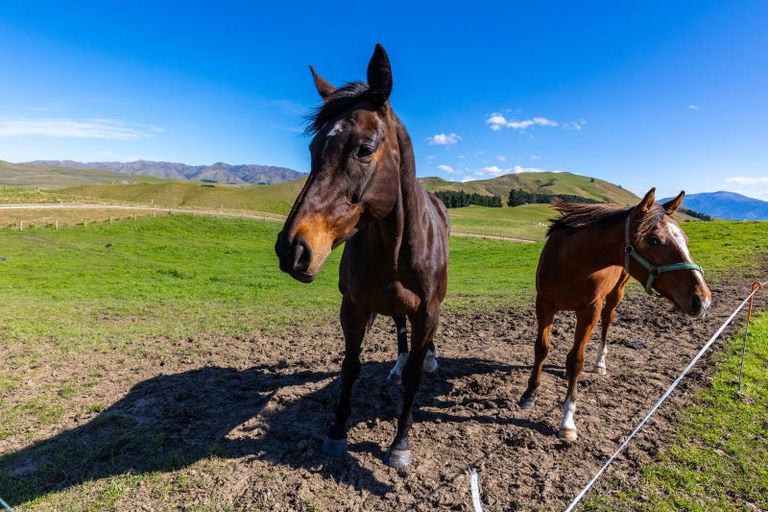 Photo of property in 59 Marama Road, Seddon, 7285