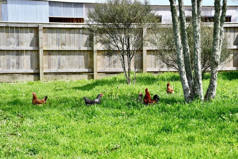 Photo of property in 131 Oparara Road, Karamea, 7893