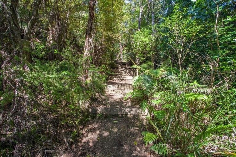 Photo of property in 160 Pumpkin Hill Road, Pumpkin Hill, Whitianga, 3591