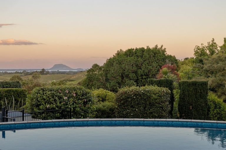 Photo of property in 85 Plummer Road, Whakamarama, Tauranga, 3179