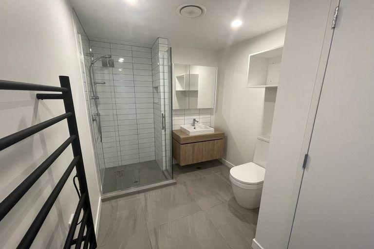 Photo of property in Pinnacle Apartments, W303/160 Victoria Street, Te Aro, Wellington, 6011