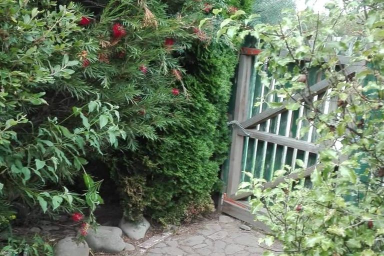 Photo of property in 48 Birkett Street, Temuka, 7920