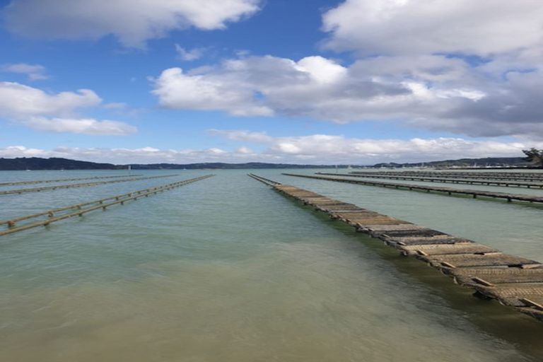 Photo of property in 50 Kiteone Road, Parua Bay, Whangarei, 0174