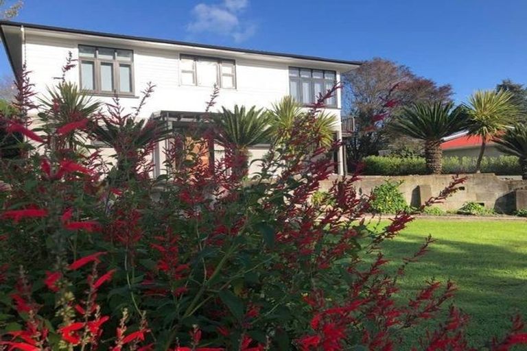 Photo of property in 14 Simla Avenue, Havelock North, 4130