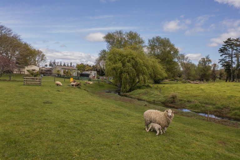 Photo of property in 131 Trig Road, Waihi, 3681