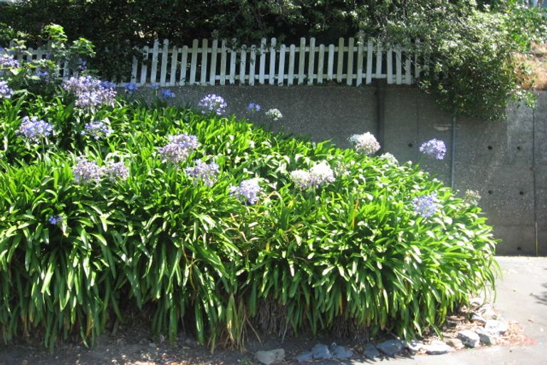 Photo of property in 112 Hataitai Road, Hataitai, Wellington, 6021