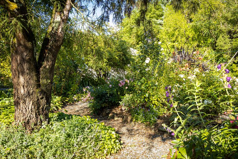 Photo of property in 8 Tripp Street, Geraldine, 7930