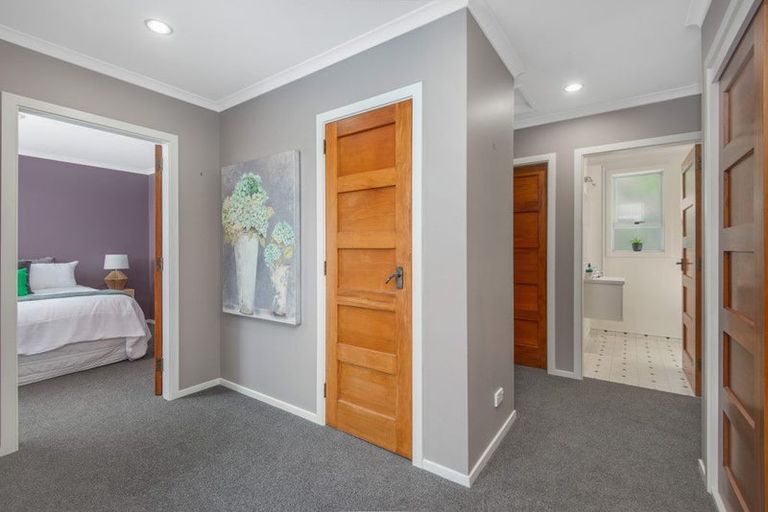 Photo of property in 56 Every Street, Andersons Bay, Dunedin, 9013