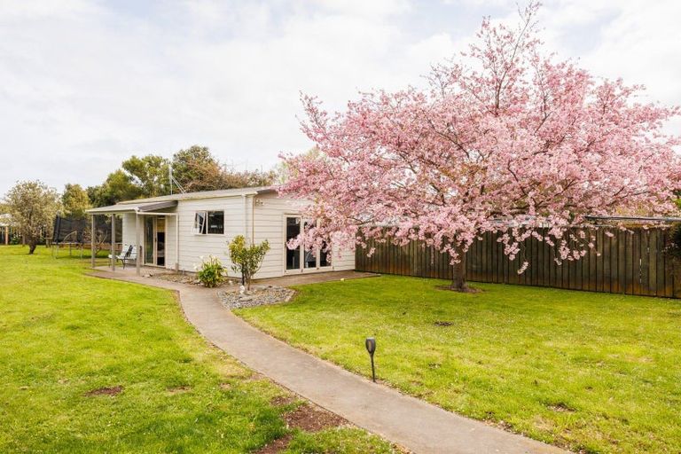 Photo of property in 5 Daniell Street, Bulls, 4818