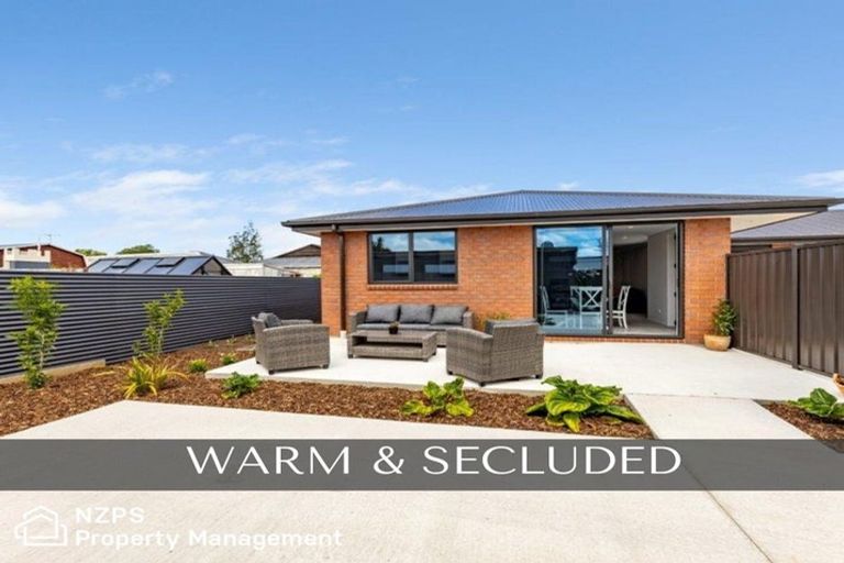 Photo of property in 38b Fingall Street, South Dunedin, Dunedin, 9012