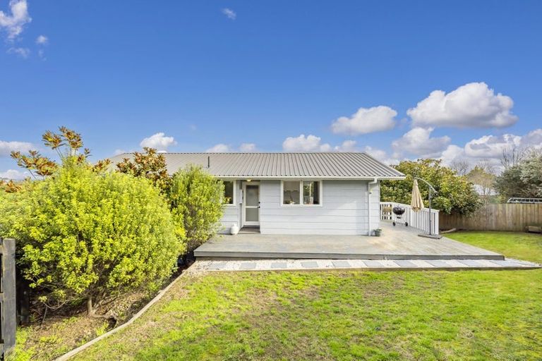 Photo of property in 17 Magdalen Place, West Harbour, Auckland, 0618