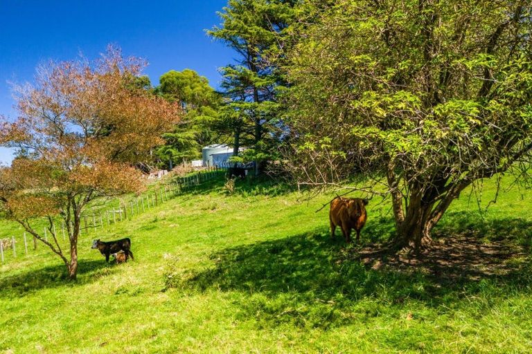 Photo of property in 573a Whakapirau Road, Maraekakaho, Hastings, 4174