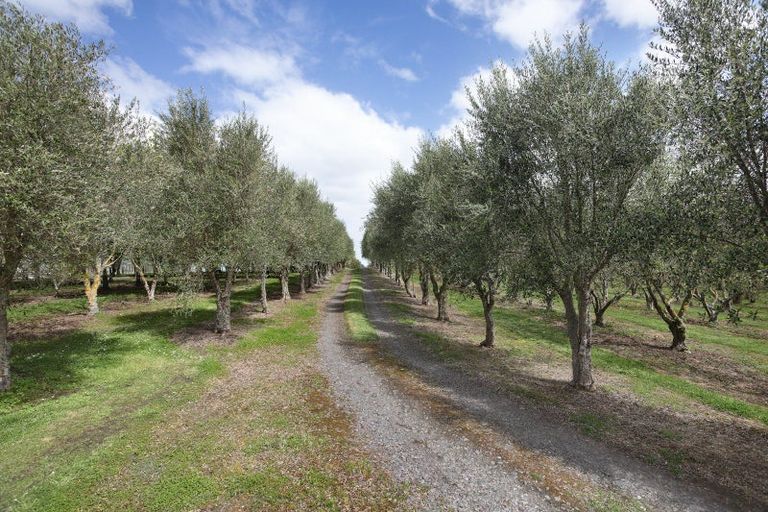 Photo of property in 466 Jeffersons Line, Marton, 4788