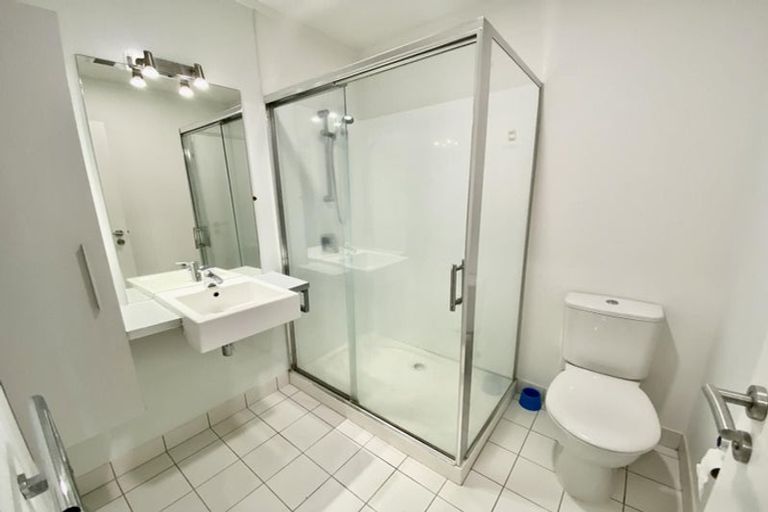 Photo of property in Luna Apartments, 1c/16 Burton Street, Grafton, Auckland, 1010