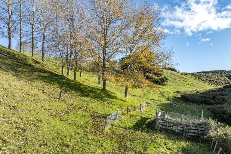 Photo of property in 70 Pineleigh Drive, Poraiti, Napier, 4182