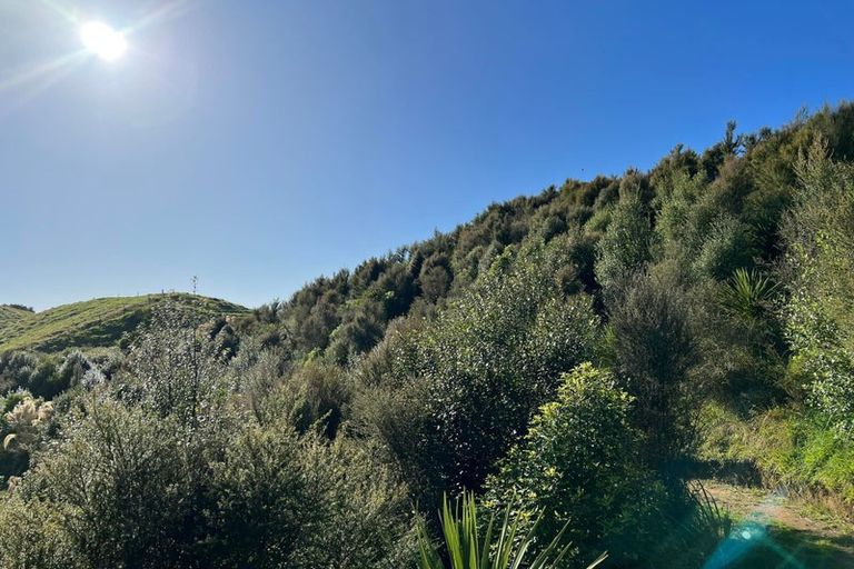 Photo of property in 31 Tarver Lane, Pikowai, Whakatane, 3194