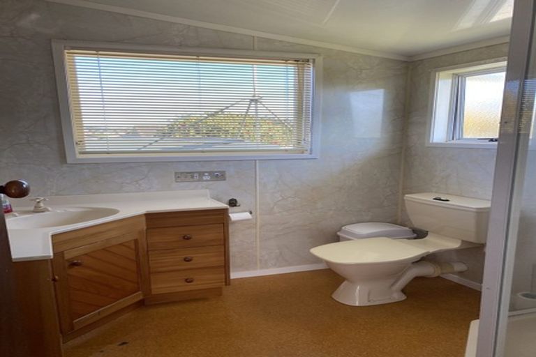 Photo of property in 23 Waianiwa Place, Tokoroa, 3420