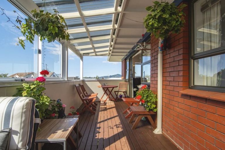 Photo of property in 58 Hammond Street, Hairini, Tauranga, 3112