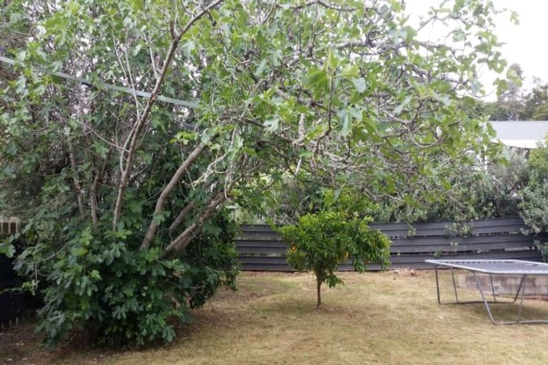 Photo of property in 63 Eden Terrace, Te Kamo, Whangarei, 0112