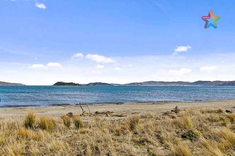 Photo of property in 171 The Esplanade, Petone, Lower Hutt, 5012