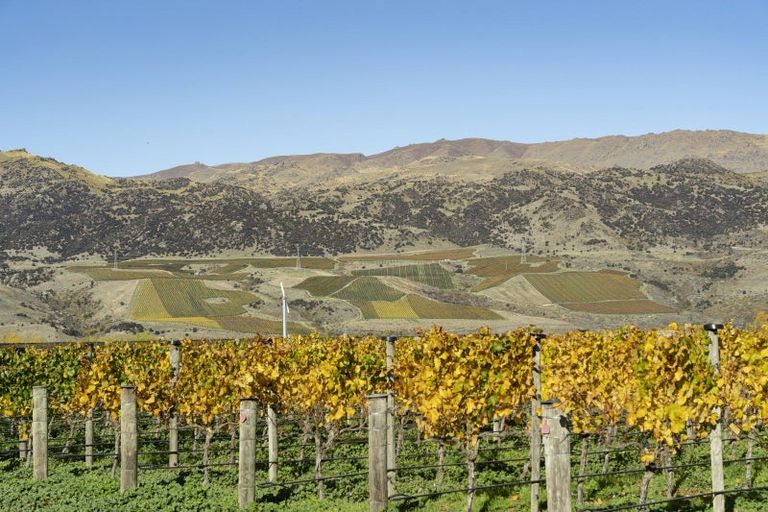 Photo of property in 1034 Luggate-cromwell Road, Mount Pisa, Cromwell, 9383