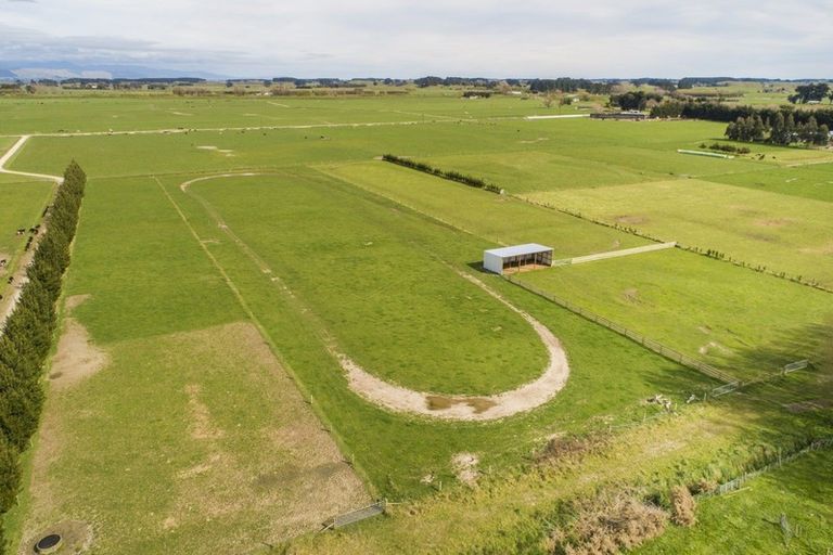 Photo of property in 265 Hoihere Road, Tiakitahuna, Palmerston North, 4477