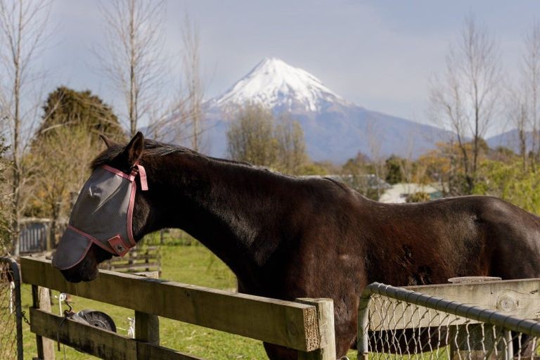 Photo of property in 1 Kahikatea Street, Inglewood, 4330