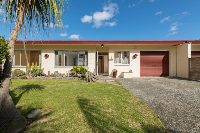 Photo of property in 12a Landscape Road, Otumoetai, Tauranga, 3110