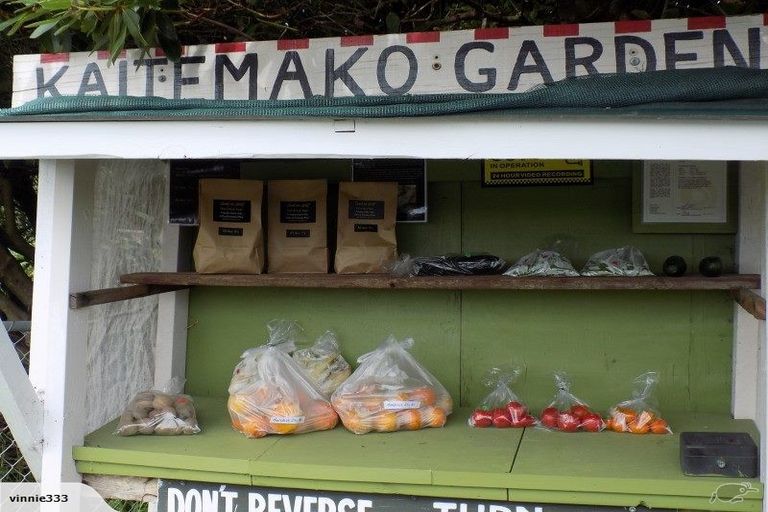 Photo of property in 430 Kaitemako Road, Welcome Bay, Tauranga, 3175