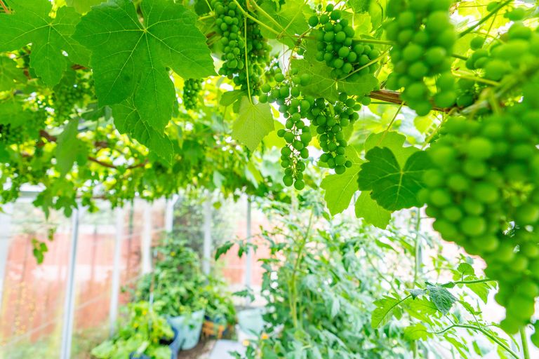 Photo of property in 15 Bryant Street, Kenmure, Dunedin, 9011