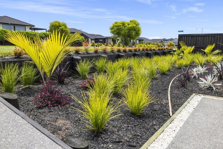 Photo of property in 9 Kahawai Place, Omokoroa, 3114