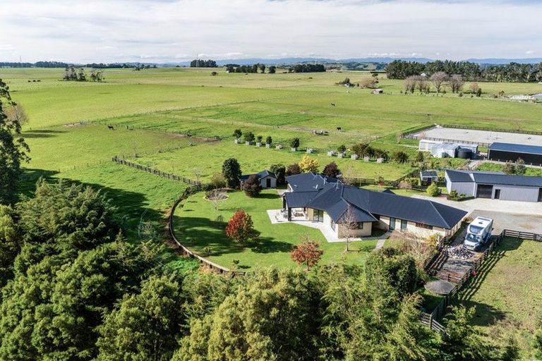 Photo of property in 255 Calico Line, Marton, 4787