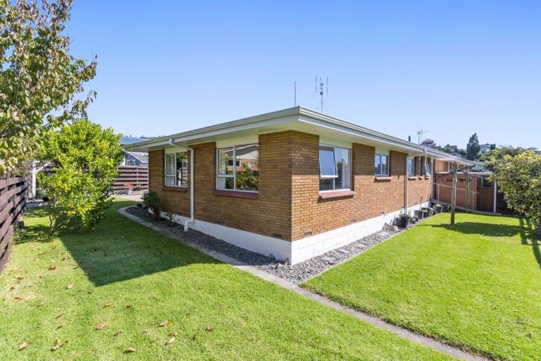 Photo of property in 11b Balmoral Terrace, Otumoetai, Tauranga, 3110