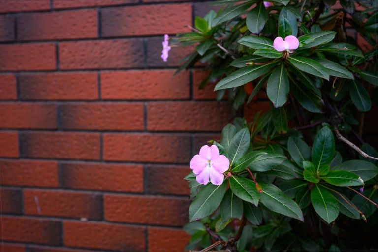 Photo of property in 154 Lethbridge Street, Feilding, 4702