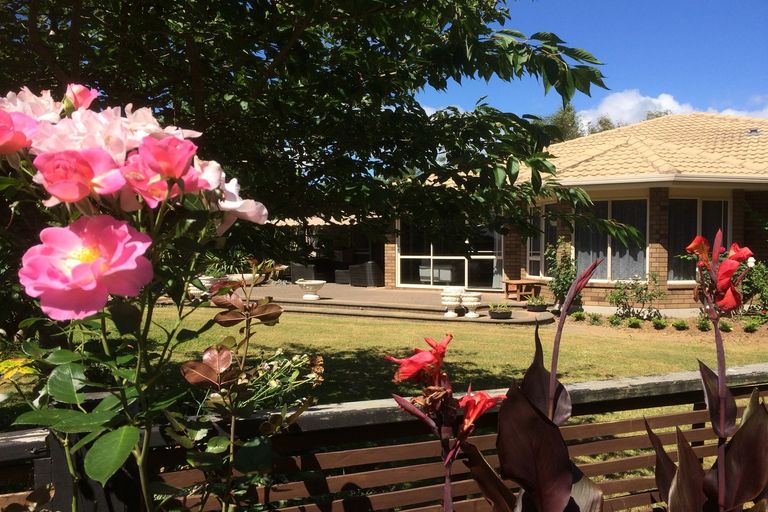 Photo of property in 161 Flat Road, Kihikihi, Te Awamutu, 3875