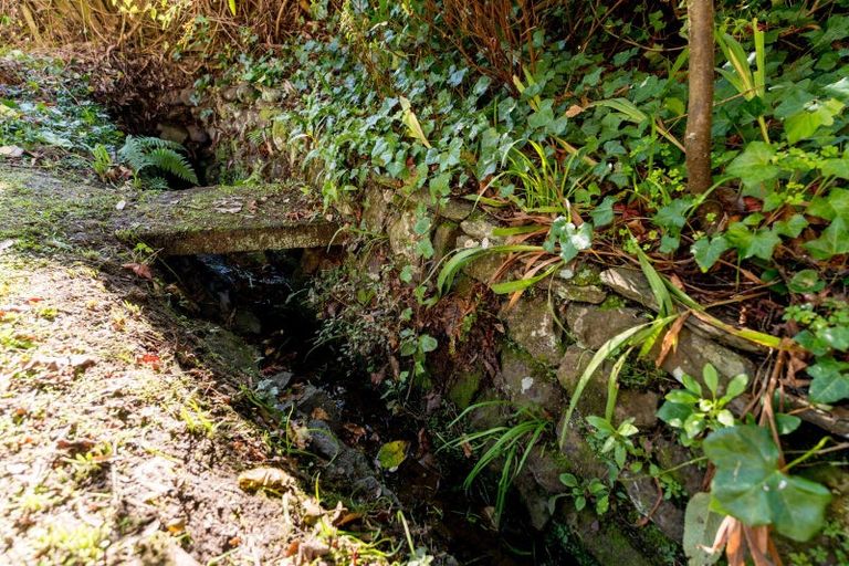 Photo of property in 4 Sylvan Street, Opoho, Dunedin, 9010