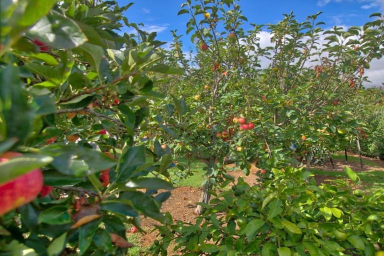Photo of property in 187 Oaks Road, Portland, Whangarei, 0178