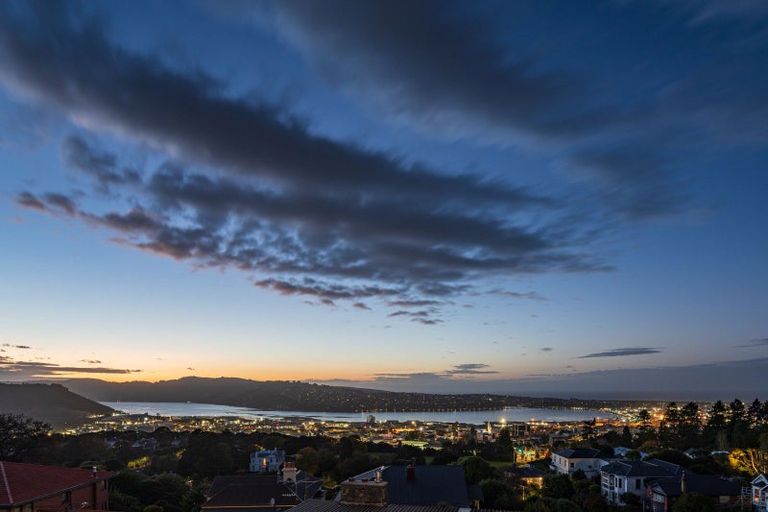 Photo of property in 29 Selkirk Street, Roslyn, Dunedin, 9010