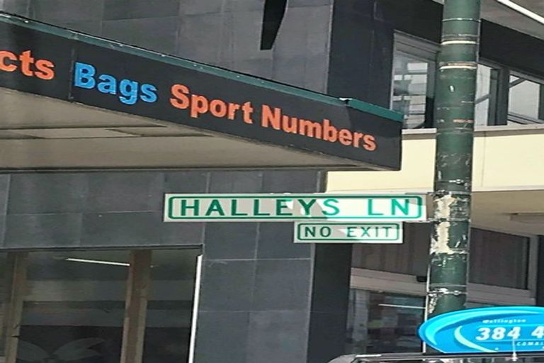 Photo of property in 6g Halleys Lane, Te Aro, Wellington, 6011