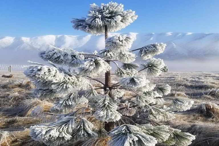 Photo of property in 356 Manuka Terrace, Ben Ohau, Twizel, 7999