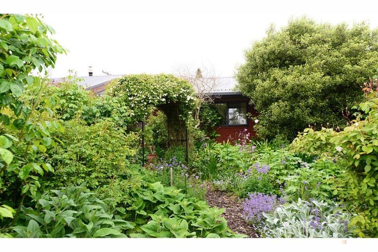 Photo of property in 8 Butchers Lane, Waimate, 7924