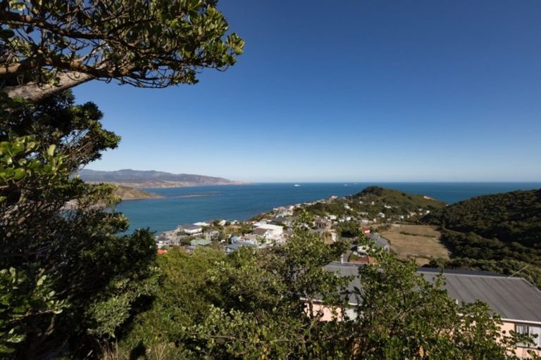 Photo of property in 60 Hornsey Road, Melrose, Wellington, 6023