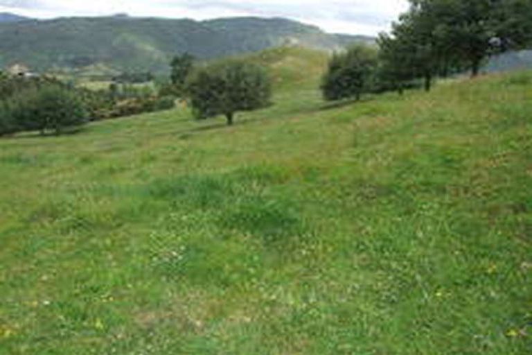 Photo of property in 521a Kauaeranga Valley Road, Thames, 3577