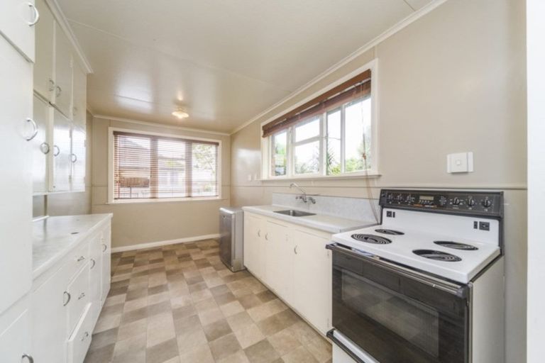 Photo of property in 115 Limbrick Street, Terrace End, Palmerston North, 4410