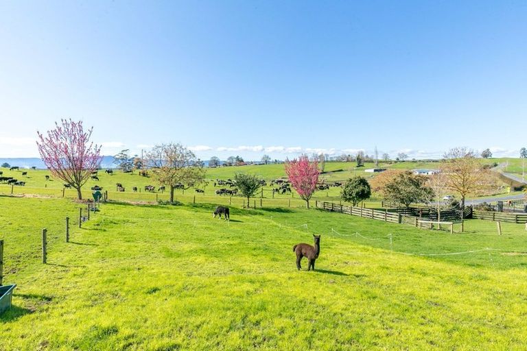 Photo of property in 53 Matai Road, Matamata, 3472