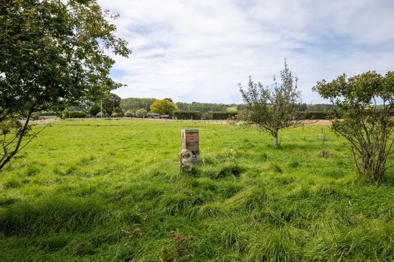 Photo of property in 657 Domett Road, Domett, Cheviot, 7382