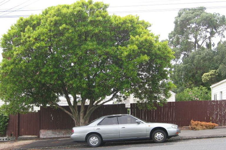 Photo of property in 11a Northland Street, Grey Lynn, Auckland, 1021
