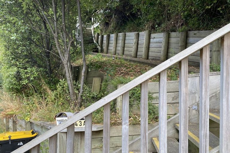 Photo of property in 43 Balfour Street, Mornington, Wellington, 6021