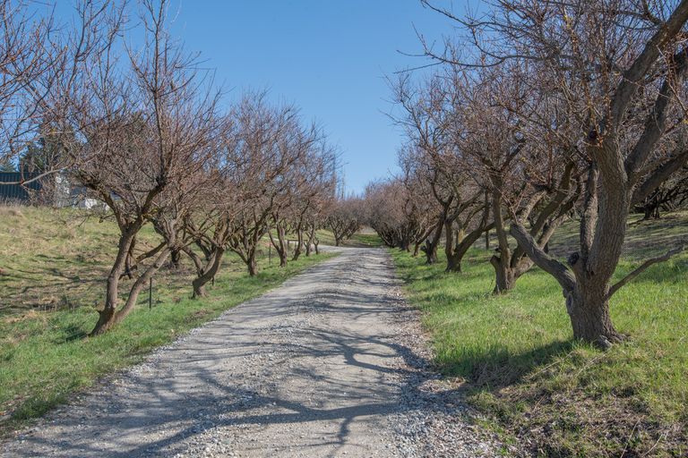 Photo of property in 217a Manuherikia Road, Springvale, Alexandra, 9393