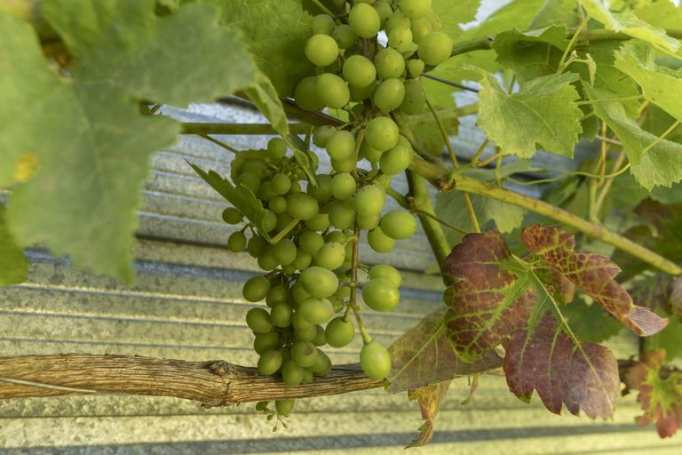 Photo of property in 53b Jonathon Street, Brookfield, Tauranga, 3110